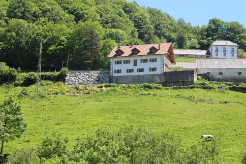 a white house in a green field with a sheep at Apartamentos Zabalarena Basoa in Orbaiceta