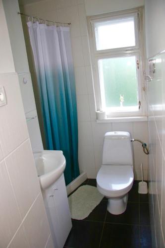 a bathroom with a toilet and a sink and a window at Villa Sunshine / Slunečna Vila in Krásná Lípa