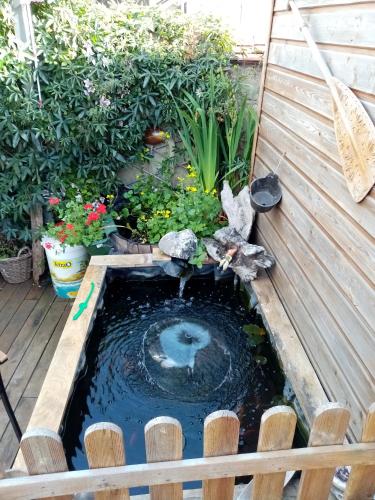 a koi pond in a garden on a deck at ancienne maison des templiers in Gouillons