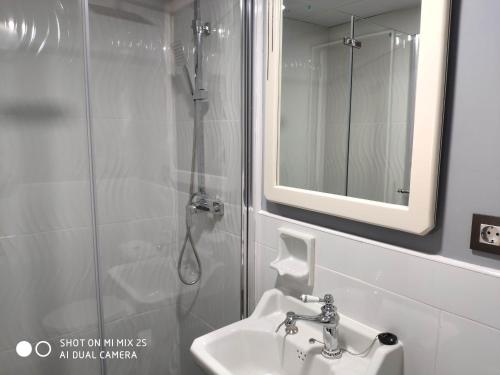Un baño con lavabo y ducha con espejo. en loft el taller, en Lumpiaque
