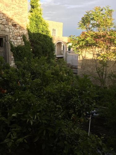 Κήπος έξω από το Apartments Gusar