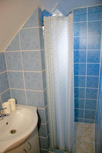 a bathroom with a toilet and a sink and a shower at Villa Sunshine / Slunečna Vila in Krásná Lípa