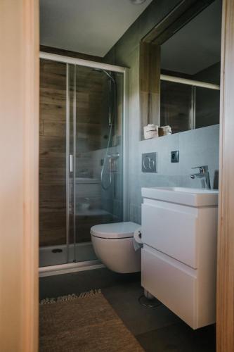 a bathroom with a shower and a toilet and a sink at Szałas Kosówka in Witów