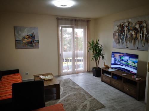 TV a/nebo společenská místnost v ubytování Apartman Petrovic CITY CENTER TROGIR