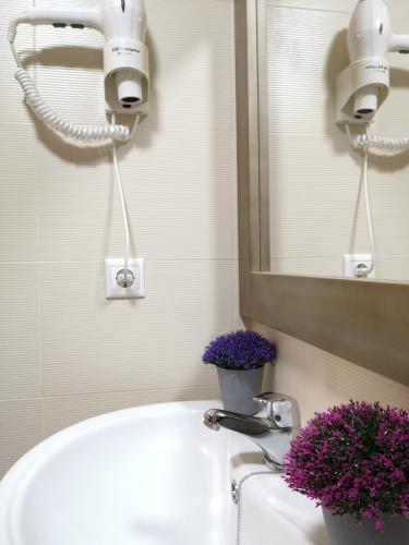 a bathroom with a sink and a mirror and purple flowers at Salvatierra in Cazorla