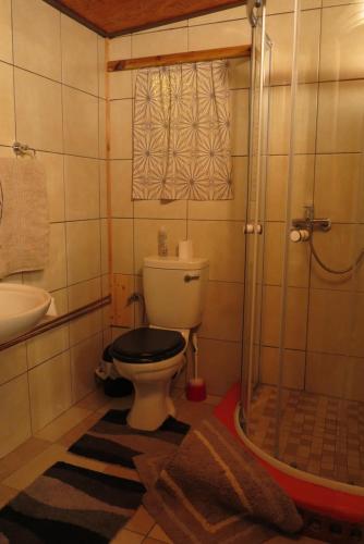 a bathroom with a toilet and a sink and a shower at Okahandja Guesthouse in Okahandja