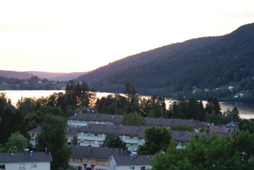 - une vue sur une ville avec une rivière et des maisons dans l'établissement Les Charmilles, à Gérardmer