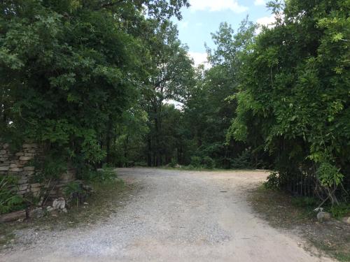 a gravel road in the middle of a forest at Cherokee Mountain log Cabins in Eureka Springs