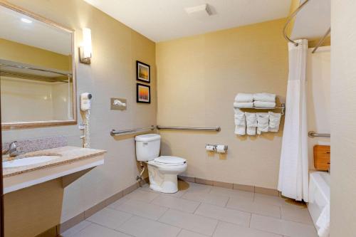 a bathroom with a toilet and a sink and a shower at Comfort Suites South Haven near I-96 in South Haven