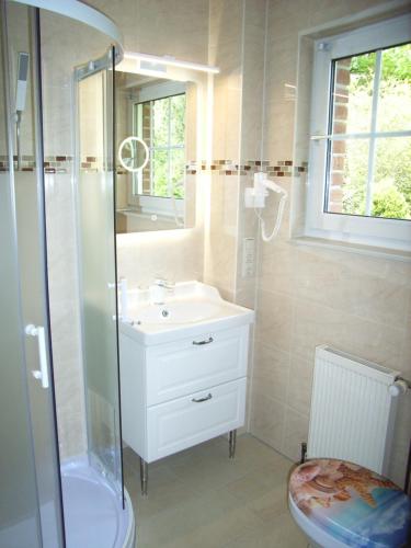a bathroom with a sink and a shower and a toilet at Ostsee Hotel-Pension An der Lindenallee in Bad Doberan