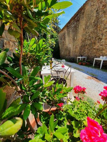 Κήπος έξω από το Bed And Breakfast Belvedere