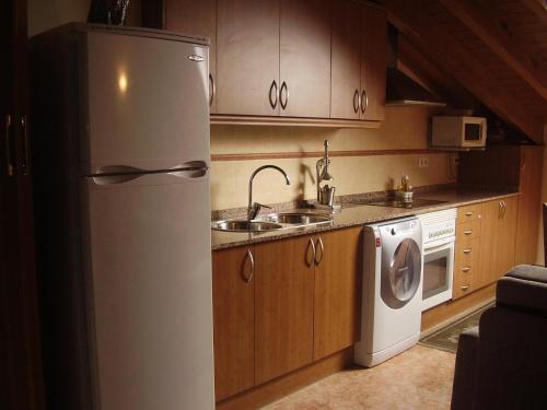 a kitchen with a refrigerator and a sink and a dishwasher at Casa Magí in Vilaller