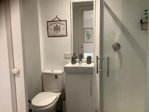 małą łazienkę z toaletą i umywalką w obiekcie Petite Provence Cottage w mieście Blairgowrie