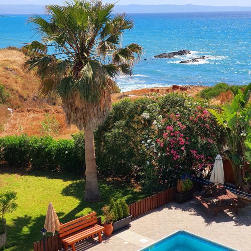 a palm tree and a swimming pool next to the ocean at Kanalli Apartments in Pomos