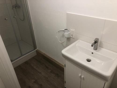 a bathroom with a sink and a shower at Bosskopp in Alzenau in Unterfranken