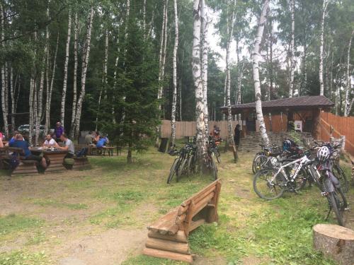 a group of people sitting at benches in a forest at Chata Orlí vrch in Zlaté Hory