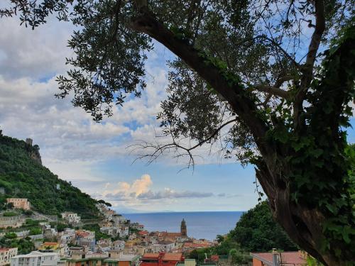 a view of a city from behind a tree at Hotel Villa Annalara charme and Relax in Amalfi