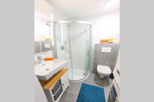 ハラインにあるModern Living in a Historical Surroundingのシャワー、洗面台、トイレ付きのバスルーム