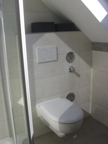 a bathroom with a toilet and a shower at Haus Mühlenbach in Mechernich