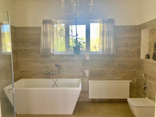 a bathroom with a tub and a toilet and a window at PRIVATE ELITE VILLA IN JURMALA in Jūrmala