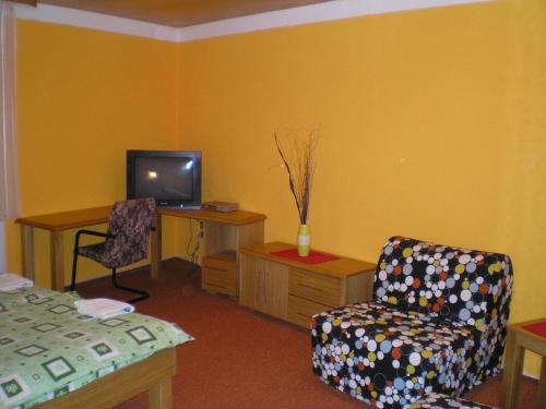 a living room with a chair and a television at Pension Duel in Ústí nad Labem