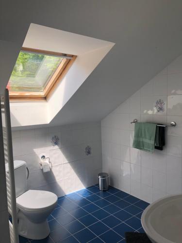 a bathroom with a toilet and a skylight at Malá Svatá Hora - penzion & restaurace in Mníšek pod Brdy