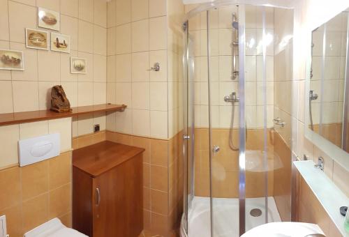 a bathroom with a shower and a toilet and a sink at DAVIO dla 2 osób in Międzyzdroje