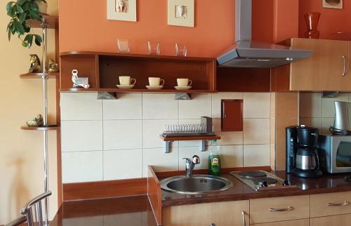 米茲多洛傑的住宿－DAVIO dla 2 osób，厨房配有水槽和台面