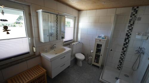 La salle de bains est pourvue d'un lavabo, d'une douche et de toilettes. dans l'établissement Ferienshaus Zur Lehns mit Garten am Harz, à Ilsenburg