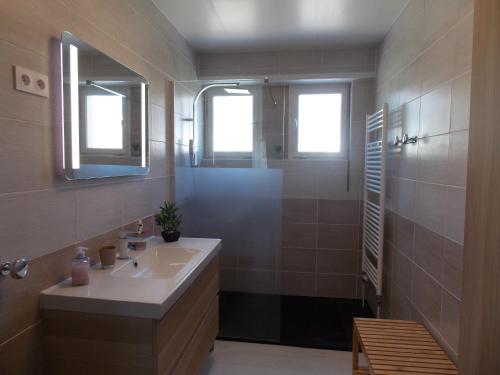 a bathroom with a sink and a mirror at Maison de vacances "Le Longchamp" in Osenbach