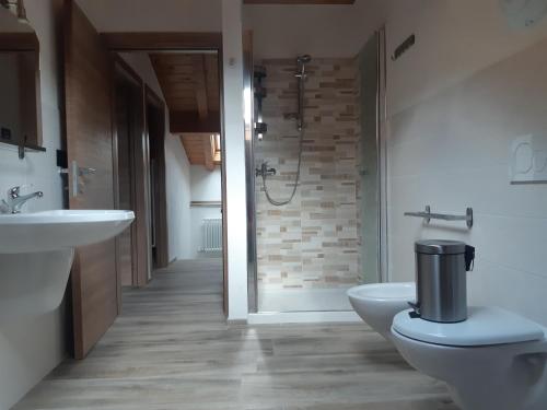 a bathroom with a shower and a toilet and a sink at Casa Cheney in Saint-Christophe