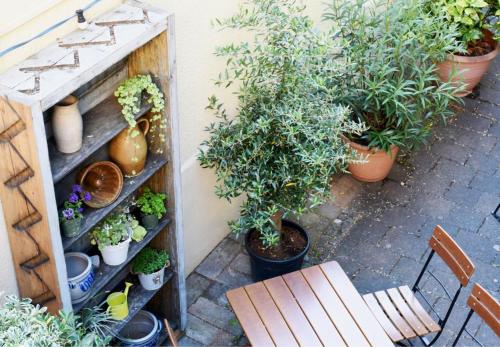 a room with potted plants and a table and chairs at Gasthaus zum Goldenen Hirschen in Martinstein