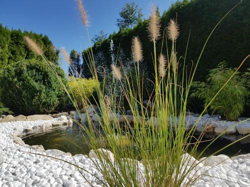 Afbeelding uit fotogalerij van Appartements Dollnig in Flattach