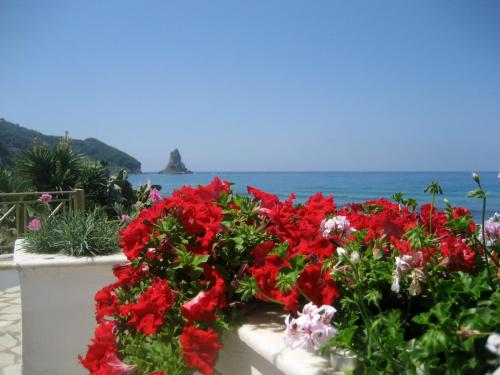 a bunch of red flowers on a wall near the ocean at Nereides Apartments in Agios Gordios