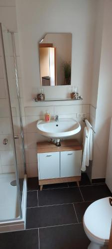 y baño con lavabo, aseo y espejo. en Ferienhaus Tangrintel, en Hemau
