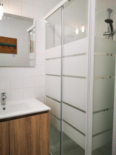 une salle de bain avec douche et lavabo dans l'établissement Studio Cosy Breizh, à Cancale