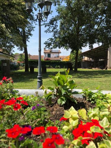 a garden with red flowers and a street light at Ai Tigli in Castel dʼArio