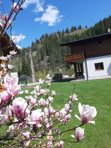 a bush of pink flowers in front of a building at Chalet Mugure de Brad in Fundu Moldovei