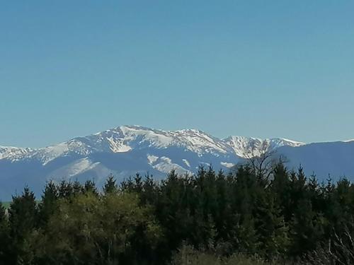a snow covered mountain range with trees in the foreground at Apartman 11 MyMara in Bešeňová