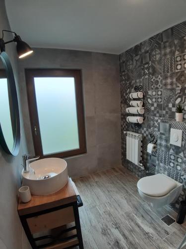 a bathroom with a sink and a toilet at Chalet Mugure de Brad in Fundu Moldovei