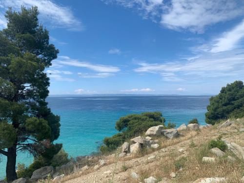 Gallery image of Niovi Villas in Nikiti