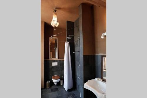 a bathroom with a sink and a toilet and a shower at Altes Kommandeurhaus in Werben an der Elbe in Werben