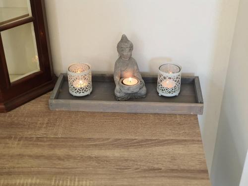 a statue of a cat sitting on a shelf with candles at De Vliegende Vlinder in Nederweert