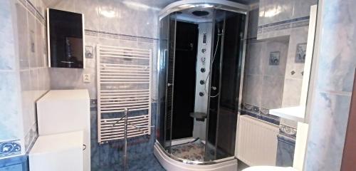 a bathroom with a shower with a mirror at Dvougenerační dům se zahradou in Vimperk