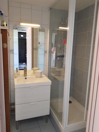 une salle de bain avec un lavabo blanc et une douche dans l'établissement Les hauts d'azur, à Saint Pierre La Mer