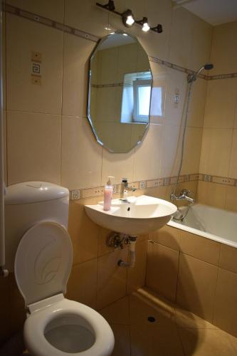 a bathroom with a toilet and a sink and a mirror at Apartament Cathedral View Republicii RHBM in Baia Mare