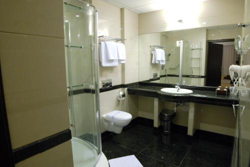 a bathroom with a toilet and a sink and a shower at Ambasador Centrum in Łódź
