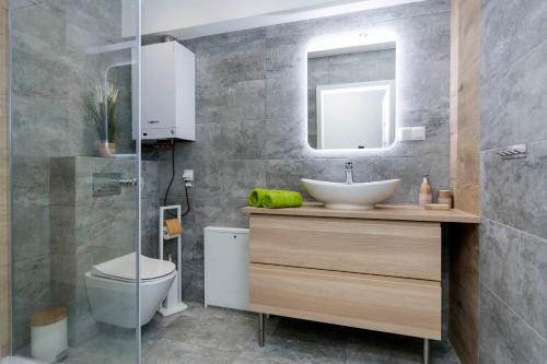 a bathroom with a sink and a toilet and a mirror at Wyspa Sobieszewska Apartament nad morzem Sobieszewo in Gdańsk