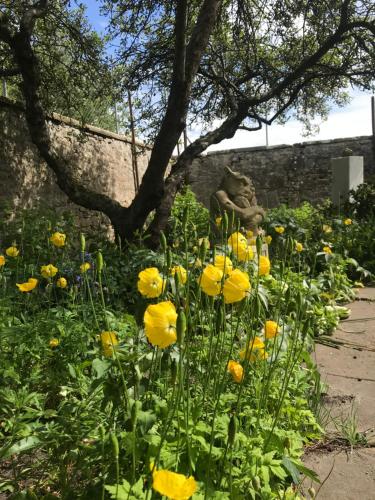 a statue in a garden with yellow flowers at Kilmorie House in Elgin