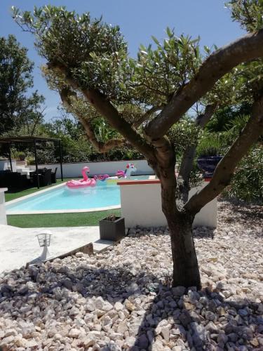 a tree in the rocks next to a swimming pool at Le gîte du Moulin in Lagardelle-sur-Lèze